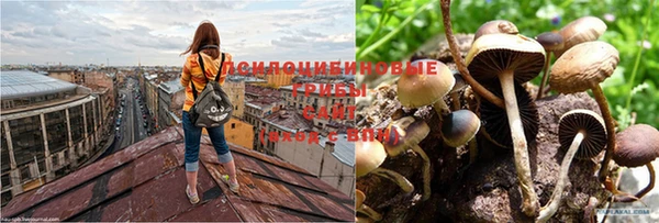 a pvp Арсеньев