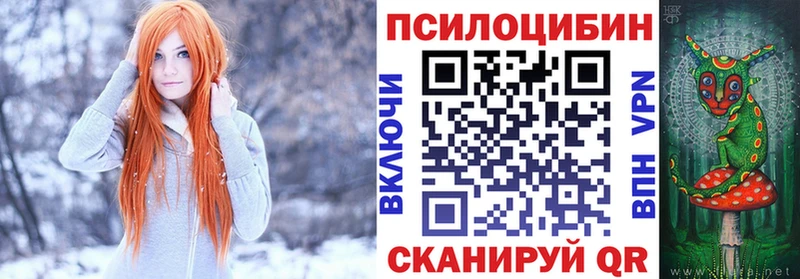 Псилоцибиновые грибы Cubensis  Суворов 