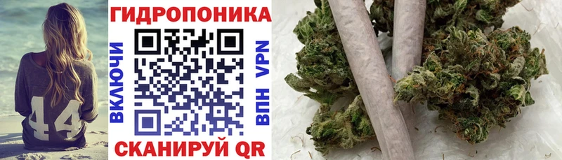Бошки Шишки White Widow дарнет шоп Суворов